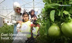 Özel öğrencilerden Bayburt'ta organik sebze hasadı
