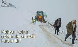 Sarı Çiçek Yaylası'nda mahsur kalan çoban ile sürüsü kurtarıldı!