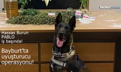 Bayburt'ta Narkotik Operasyonu: Hassas Burun Pablo İş Başında!