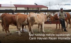 Bayburt Canlı Hayvan Pazarı Hizmette: Şap Hastalığı Nedeniyle Kapanmıştı