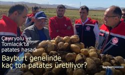 Bayburt Patatesi Piyasada: Yüksek Kalite ve Lezzet Vurgusu