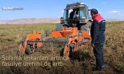 Sulama imkanları artınca Bayburt'ta fasulye üretimi de arttı