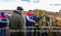 Vali Eldivan, Sakızlı Köyü'nde Ayçiçeği Hasadına Katıldı