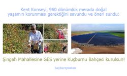 Bayburt Kent Konseyi'nden Şingah Mahallesi için öneri