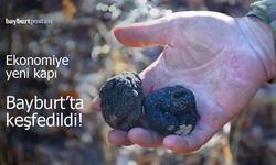 Bayburt'ta 'Kara Elmas' Heyecanı: Trüf Mantarı Keşfedildi!
