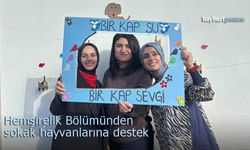 Sokak Hayvanlarına Anlamlı Destek: "Bir Kap Su, Bir Kap Sevgi"