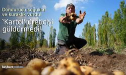 Bayburt'ta 'kartol' hasadı geçen seneye göre çok düşük!