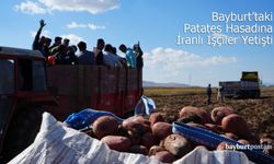 Bayburt'ta Patates Hasadına İranlı İşçiler Yetişti: "Tek Sıkıntımız İşçi ve Barınma"