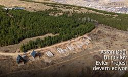 Aslan Dağı Bungalov Evler Projesinin yapımı devam ediyor