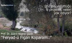 Prof. Dr. Şükrü Nişancı yazdı: "Feryad-ü Figan Koparam.."