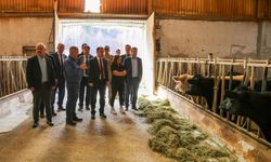 Vali Eldivan, Sancaktepe'de çalışmaları inceledi, vatandaşı dinledi