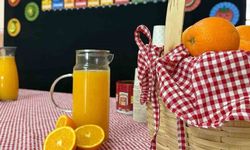 Aydıntepe'de Miniklere "Vitamin" Desteği: Sağlıklı Yaşam Bilinci Aşılanıyor