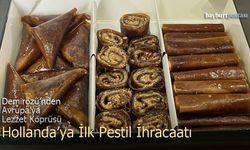 Demirözü’nden Avrupa’ya Lezzet Köprüsü: Hollanda’ya İlk Pestil İhracatı