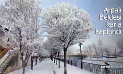 Arpalı Beldesi karla kaplandı