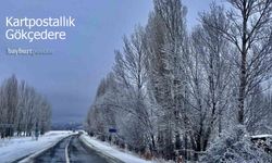 Gökçedere'de Kartpostallık Kar Manzaraları