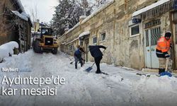Aydıntepe'de zorlu kar mesaisi