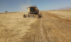 Bayburt’ta Üreticiye Yemlik Arpa Desteği