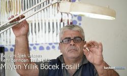 Bayburtlu Ustanın Kehribarından Tarih Çıktı: Milyon Yıllık Böcek Fosili!