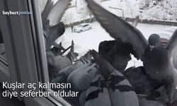 Bayburt’ta Kar Esareti: Kuşlar Aç Kalmasın Diye Seferber Oldular