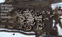 Bayburtlu Üreticiye 50 Milyon Liralık Yem Desteği