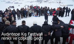 Aydıntepe Kış Festivali renkli ve coşkulu geçti