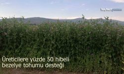 Bayburt’ta yüzde 50 hibeli bezelye tohumu desteği