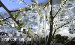 Bayburt için Kritik Uyarı: 4 Gün Sürecek Zirai Don Riski Kapıda