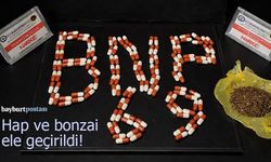 Bayburt'ta 132 Adet Hap ve Bonzai Ele Geçirildi!