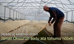 76 Yaşındaki İsmail Öksüz'ün Ata Tohumu Nöbeti: Serada Üç Kademeli Önlem