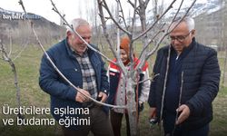 Bayburt’ta üreticilere aşılama ve budama eğitimi