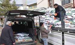 Bayburt’ta üreticilere yüzde 75 hibeli nohut tohumu dağıtıldı