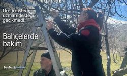 Üretici İstedi, Uzmanlar Geldi: Aydıntepe'de Bahçe Bakımları