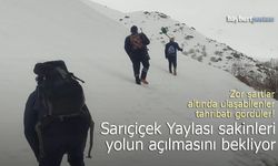 Ayı istilasına uğrayan Sarıçiçek Yaylası’nda ulaşım sorunu çözüm bekliyor