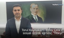 Torul Kaymakamı Koray Çelik'in sosyal destek karnesi; "Pekiyi"