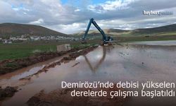Demirözü’nde debisi yükselen derelerde çalışma başlatıldı