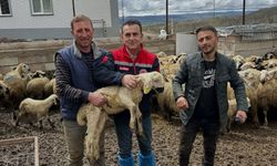 Gümüşdamla Köyünde Küçükbaş Hayvan Denetimi