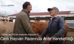 Bayburt Belediyesi Canlı Hayvan Pazarı'nda Arife Hareketliliği