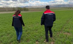 Aydıntepe’de Verim İçin Teknik Denetim