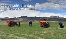 Bayburt’ta Mera Verimliliği Artıyor: 200 Dekarlık Alanda Gübreleme Tamamlandı