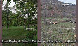 Elma Doktoralı Tarım İl Müdürünün Elma Bahçesi Katliamı!