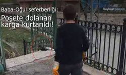 Bayburt’ta Baba-Oğul Seferberliği: Poşete Dolanan Karga Kurtarıldı