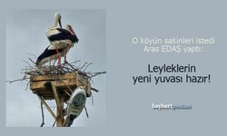 Taşkesenliler istedi, Aras EDAŞ yaptı: Leyleklerin yeni yuvası hazır!