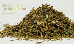 Bayburt Tarhunu İçin Dijital Atılım