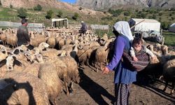 Destek bekleyen üreticilere bakanlıktan dolandırıcılık uyarısı