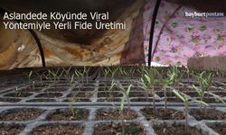 Aslandede Köyünde Viyol Yöntemiyle Yerli Fide Üretimi