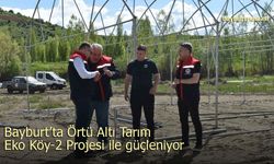 Bayburt'ta Eko Köy 2 Projesi’nde seralar yükseliyor