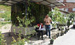 Bayburt'ta Fide ve Fidan Satış Noktalarına Denetim
