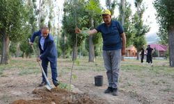 Bayburt’ta 15 Temmuz anısına yüzlerce fidan toprakla buluştu