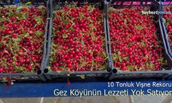 Gez köyünün lezzeti yok satıyor: 10 tonluk vişne rekoru