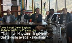 Ali Babacan Bayburt'ta konuştu: "Tarım ve hayvancılık güvenilir desteklerle ayağa kaldırılmalı"